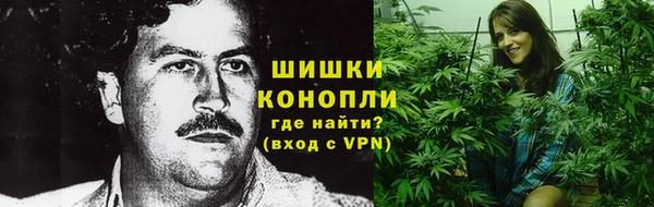 дмт Арсеньев